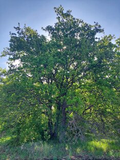 Истории из жизни