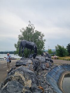 Красноярский край