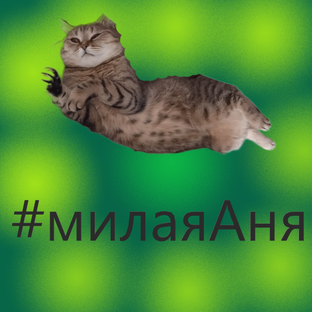 #милаяАня