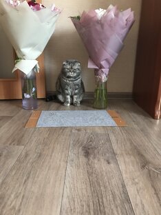 День Рождения у Изы 