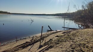 карапульки