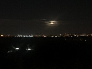 (Не) просто сны.