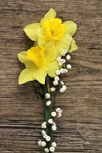 Нарциссизм