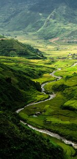 Мысли и размышления.