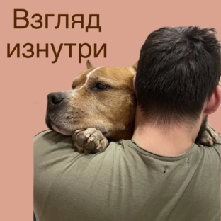 Взгляд изнутри