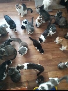 #2. Огромная передержка т. Любы. Верхняя терраса. 