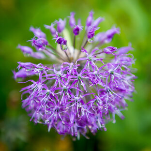 Отдельные фото