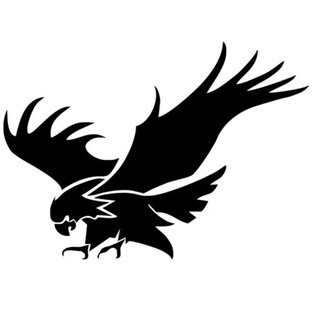 Русские идут! "ЧВК "VIKINGS WINGS" -русская,N1 в Мире!