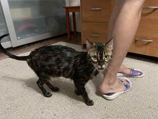 Сыночка😻