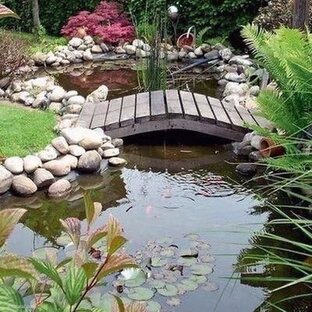 Дизайн ландшафта