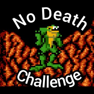 Battletoads - No Death Challenge (USA)