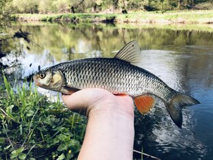 📸 Галерея фото