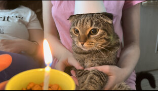 День рождения 🥳 