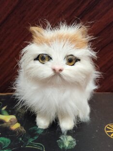 Домашние животные 