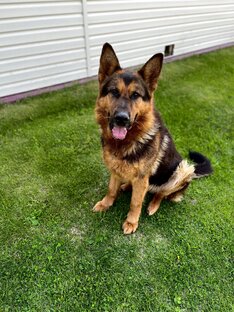 Летние движения☀️😎