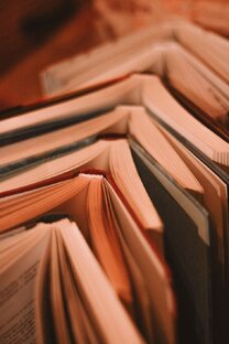 Чтение и литература📚