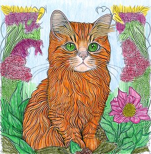 Котики и другие звери