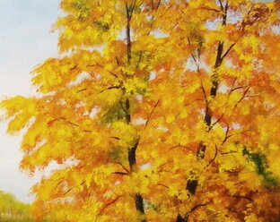 Стихи об осени