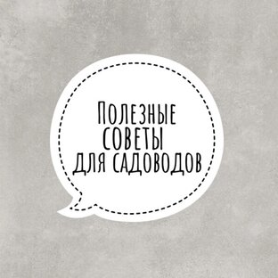 Полезные советы