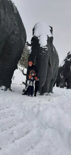 Мои рассказы