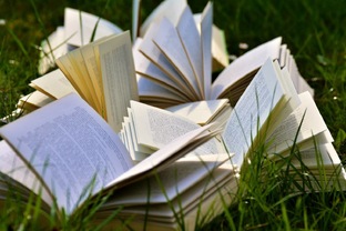 Обзор на книги.