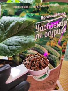 Советы из личного опыта по уходу