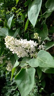 Открытки, поздравления