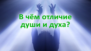 Мировоззрение и жизнь