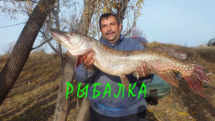 Рыбалка