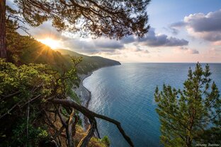 Краснодарский край - Сочи