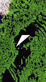 Наука, технологии, бизнес