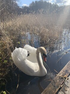 Псковская область