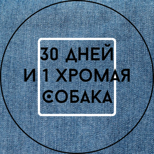 30 дней и 1 хромая собака