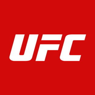 Результаты турниров UFC