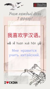 Фраза дня