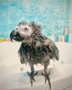 Купаемся