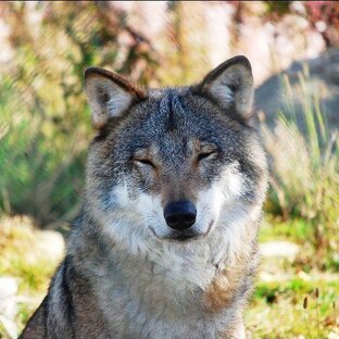 В3 - Начало. Для только ознакамляющихся.