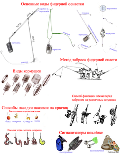 Полезная информация 