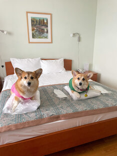 #Акулинкины_путешествия