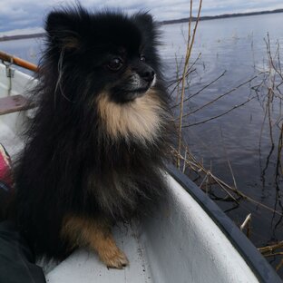 Истории с "хвостиком"