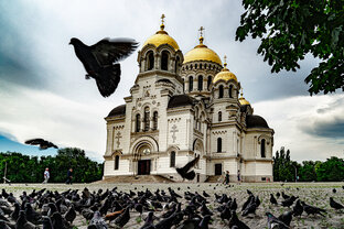 Донские истории