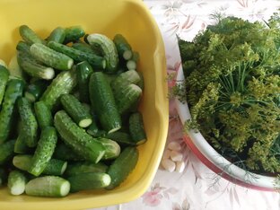 Заготовки на зиму