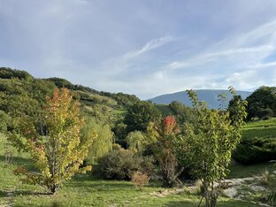 Ошибки коммуникации