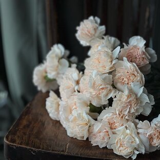 Для начинающих