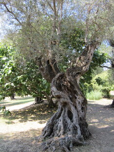 Ключ к хорошему здоровью