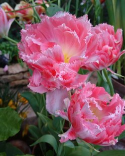 Ароматы. Практический интерес.