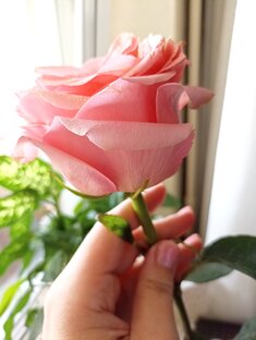 Любимые страницы