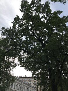 Природа. Релакс.