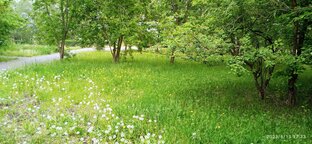 Природа Сибири! 