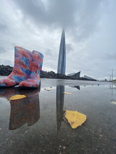 Лен.область и Санкт-Петербург